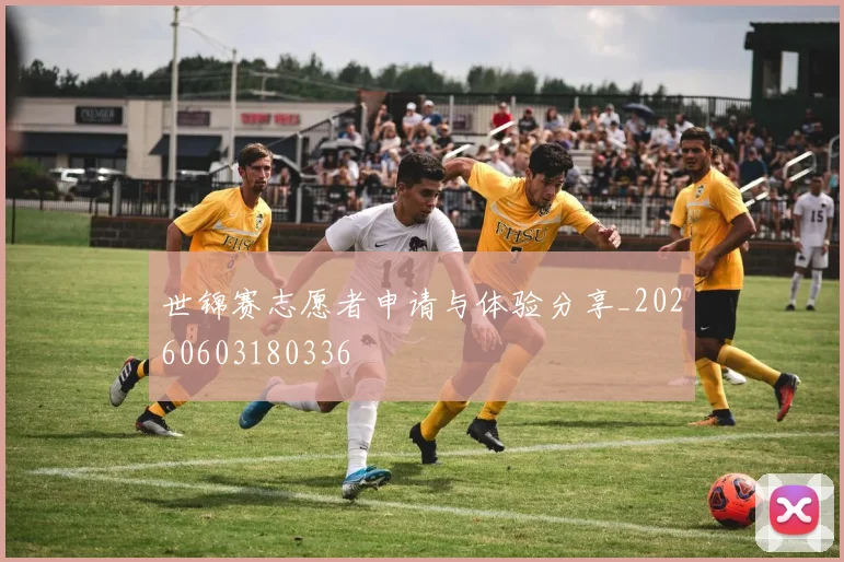 世锦赛志愿者申请与体验分享_20260603180336